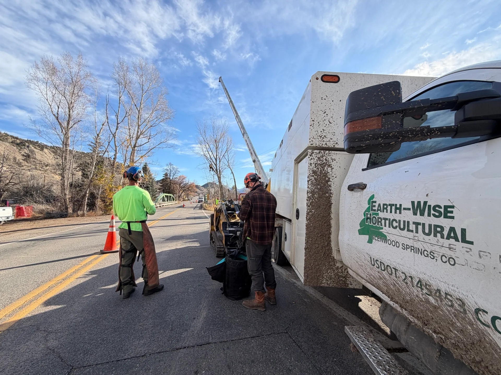 Crane-assisted sectional tree removal near a home