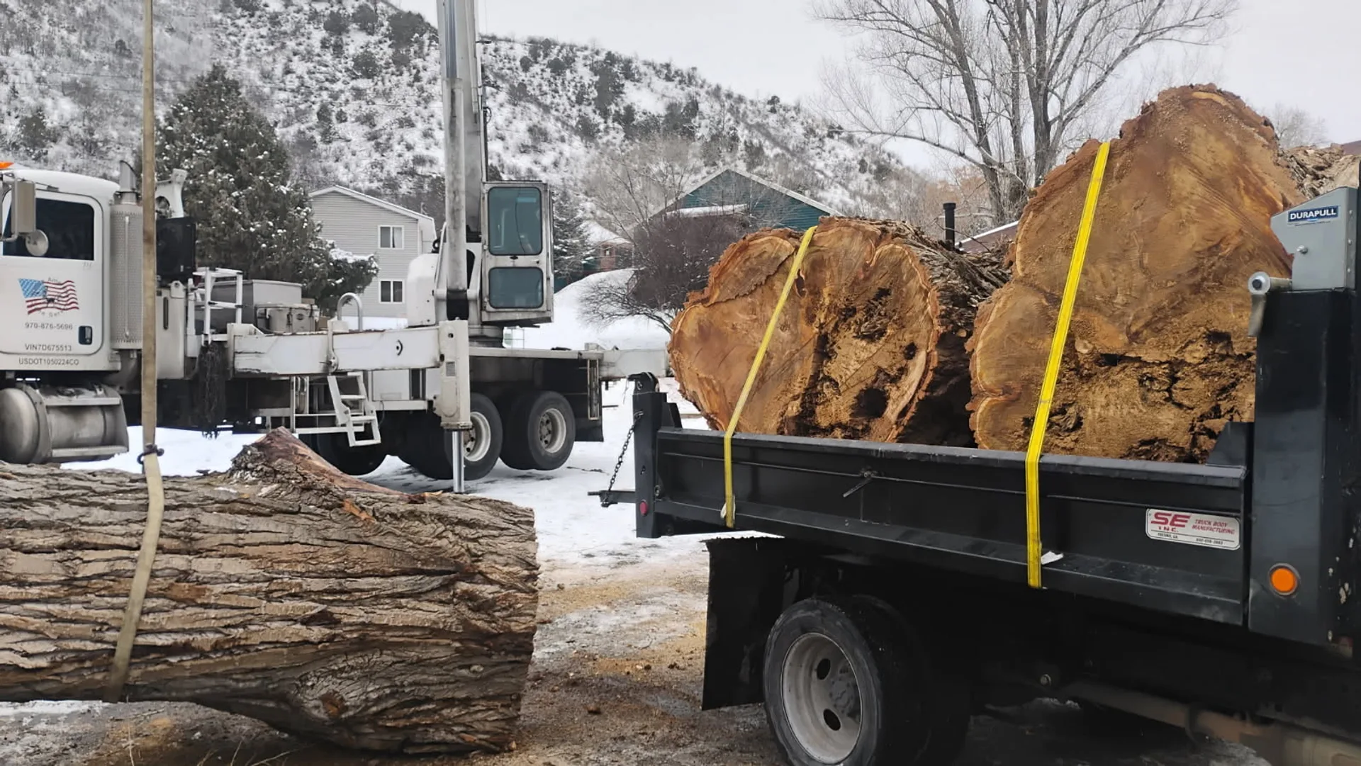 Technical tree removal on a mountain property