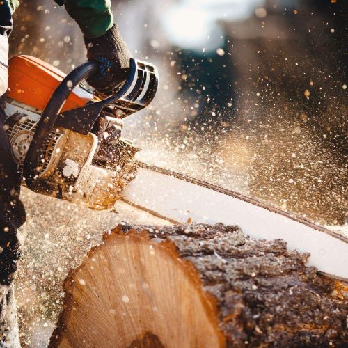 Person cutting tree log with chainsaw, sawdust flying